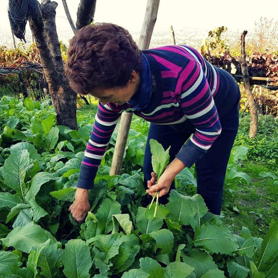 Agriturismo A Do' Cumparone Bed & Breakfast Corbara  Dış mekan fotoğraf