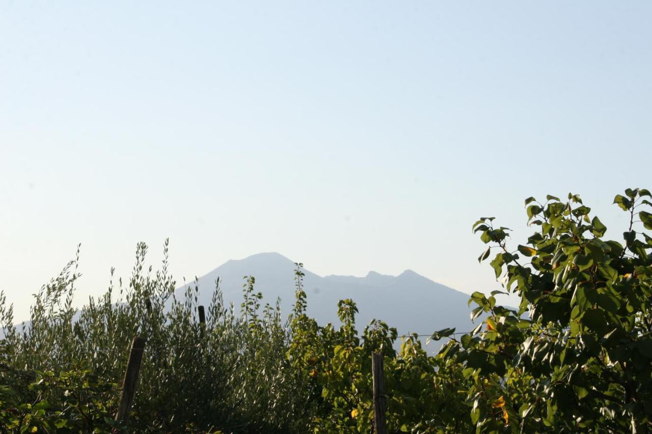 Agriturismo A Do' Cumparone Bed & Breakfast Corbara  Dış mekan fotoğraf